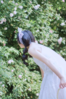 明星专题：王丹妮